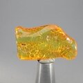 Amber Tumblestone ~33mm