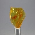 Amber Tumblestone ~34mm