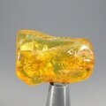 Amber Tumblestone ~35mm