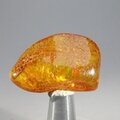 Amber Tumblestone ~36mm