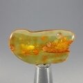 Amber Tumblestone ~37mm