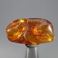 Amber Tumblestone ~37mm
