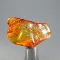 Amber Tumblestone ~39mm