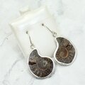 Ammonite 925 Silver Drop Earrings ~32mm