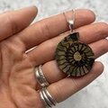 Ammonite Fossil 925 Silver Pendant ~30-35mm