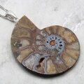 Ammonite Fossil 925 Silver Pendant ~40-45mm