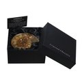 Ammonite Fossil Gift Box - Medium