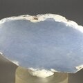 Angelite Polished Slice ~65mm