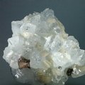 GORGEOUS Apophyllite Crystal Cluster ~124mm