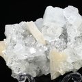DELIGHTFUL Apophyllite Crystal Cluster ~88mm