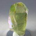 Apple Aura Quartz Healing Crystal ~34mm