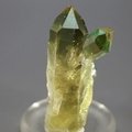 Apple Aura Quartz Healing Crystal ~50mm