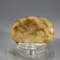 Aragonite Thumbstone (Extra Grade) ~40x30mm