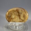 Aragonite Thumbstone (Extra Grade) ~40x30mm