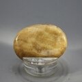 Aragonite Thumbstone (Extra Grade) ~40x30mm