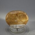 Aragonite Thumbstone (Extra Grade) ~40x30mm