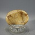 Aragonite Thumbstone (Extra Grade) ~40x30mm