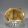 Aragonite Thumbstone (Extra Grade) ~40x30mm