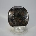Arfvedsonite Polished Flat Tumblestone ~53mm