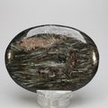 Astrophyllite Palmstone (Extra Grade) ~70x50mm