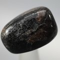 Astrophyllite Tumblestone  ~31mm