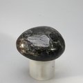 Astrophyllite Tumblestone  ~34mm