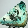 Atacamite Mineral Specimen ~116 x 85mm