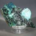 Atacamite Mineral Specimen ~70mm
