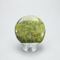Atlantisite Flat Tumblestone ~45mm