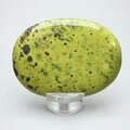 Atlantisite Palmstone (Extra Grade) ~70 x 50 mm