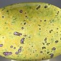 Atlantisite Palmstone (Extra Grade) ~70x50mm