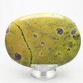 Atlantisite Palmstone (Extra Grade) ~70x50mm