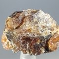 Australian Zircon Healing Crystal ~30mm