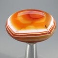 Banded Carnelian Massage Stone ~45mm