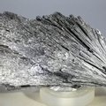 Black Kyanite Healing Crystal ~100mm