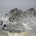 Black Kyanite Healing Crystal ~115mm