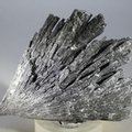 Black Kyanite Healing Crystal ~76mm