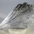 Black Kyanite Healing Crystal ~85mm