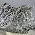 Black Kyanite Healing Crystal ~88mm