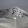Black Kyanite Healing Crystal ~90mm