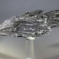 Black Kyanite Healing Crystal ~97mm