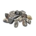 Black Moonstone Tumble Stone (15-20mm)