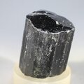 Black Tourmaline Crystal (Special Grade) ~35mm