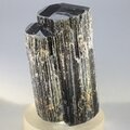 Black Tourmaline Crystal (Special Grade) ~48mm