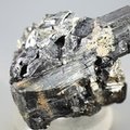 Black Tourmaline Crystal (Special Grade) ~57mm