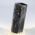 Black Tourmaline Crystal (Special Grade) ~58mm