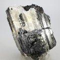 Black Tourmaline Crystal (Special Grade) ~75mm