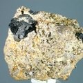 Black Tourmaline Mineral Specimen ~46mm