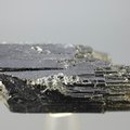 Black Tourmaline Mineral Specimen ~48mm