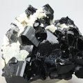 Black Tourmaline Mineral Specimen ~55mm